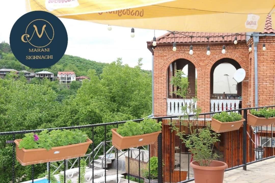 Guest House Marani Sighnaghi Extérieur photo